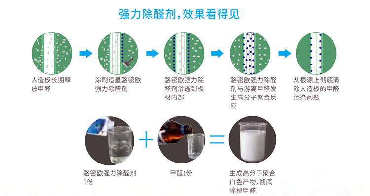 除醛真功夫